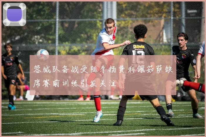 蓉城队备战受阻李扬费利佩茹萨缺席赛前训练引发关注