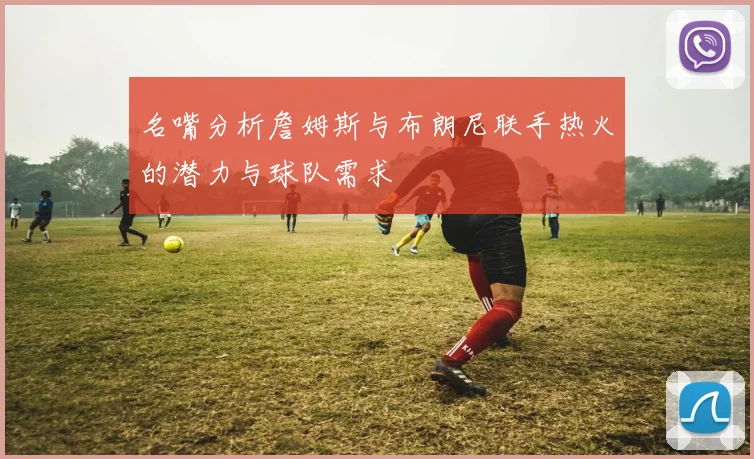 名嘴分析詹姆斯与布朗尼联手热火的潜力与球队需求