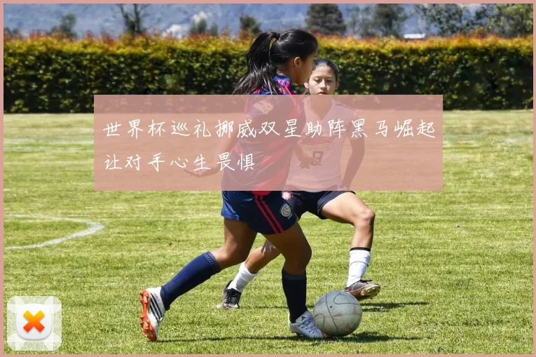 世界杯巡礼挪威双星助阵黑马崛起让对手心生畏惧